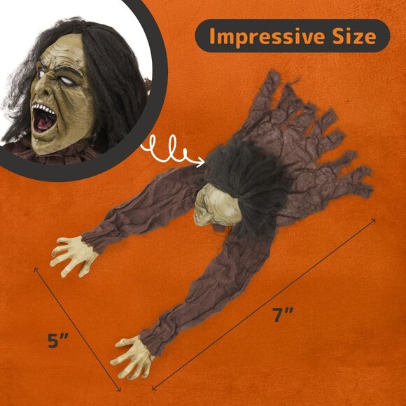 Crawling Zombie Halloween Decoration - Zombies Coming Out of Ground Prop - Creep - Picture 2 of 7